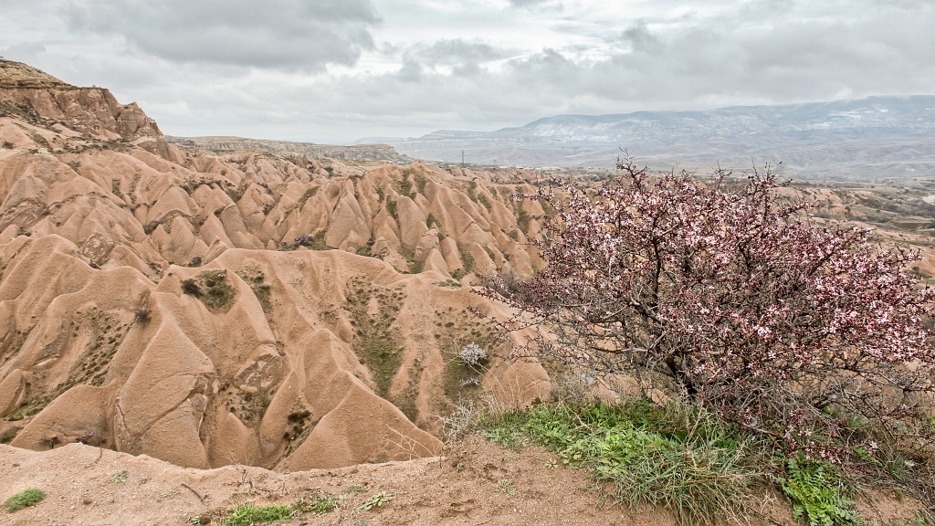 20150317_02 04.JPG - Cappadocië...